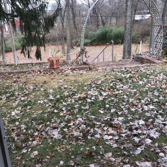 Men’s long sleeves button up collars - Picture 5 of 7